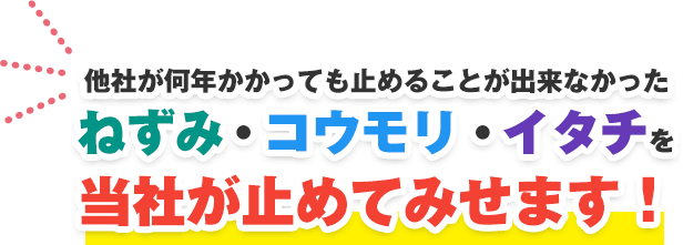 他社が何年かかっても止めることが出来なかった ねずみ・コウモリ・イタチ を当社が止めてみせます!