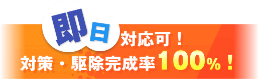 即日対応可能!対策・駆除達成率100%!