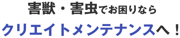 害獣・害虫でお困りならクリエイトメンテナンスへ!